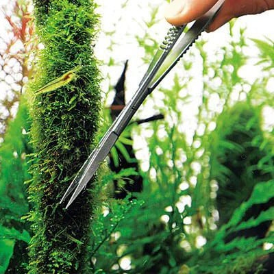 Aquascaping Tools | Aquastetics