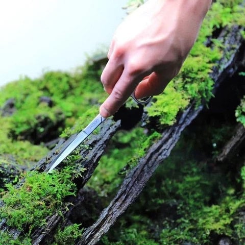 Aquascaping Tools | Aquastetics